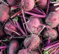 Beets_resize_092016(1)